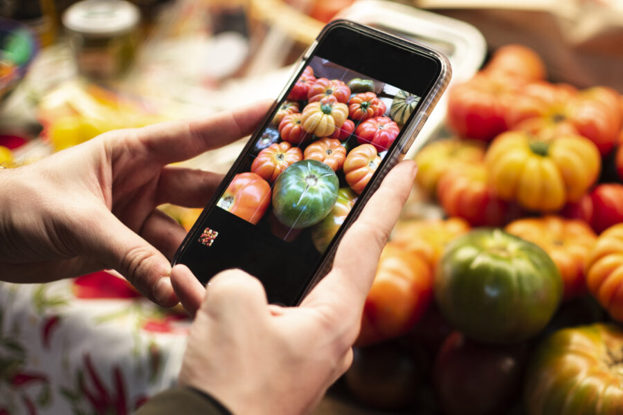 close up person taking picture vegetables
