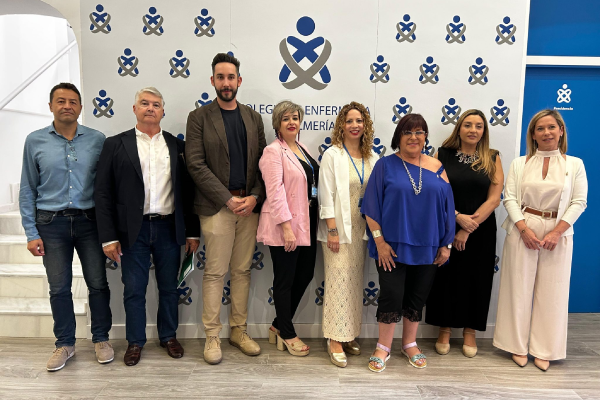 Proyecto ColegioEnfermeria Onlinemente